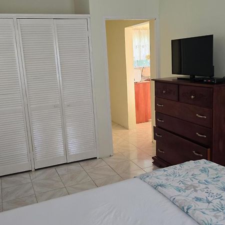 Wizzy Apartment White River Ocho Rios Exterior photo