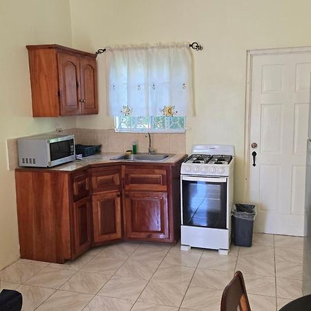 Wizzy Apartment White River Ocho Rios Exterior photo