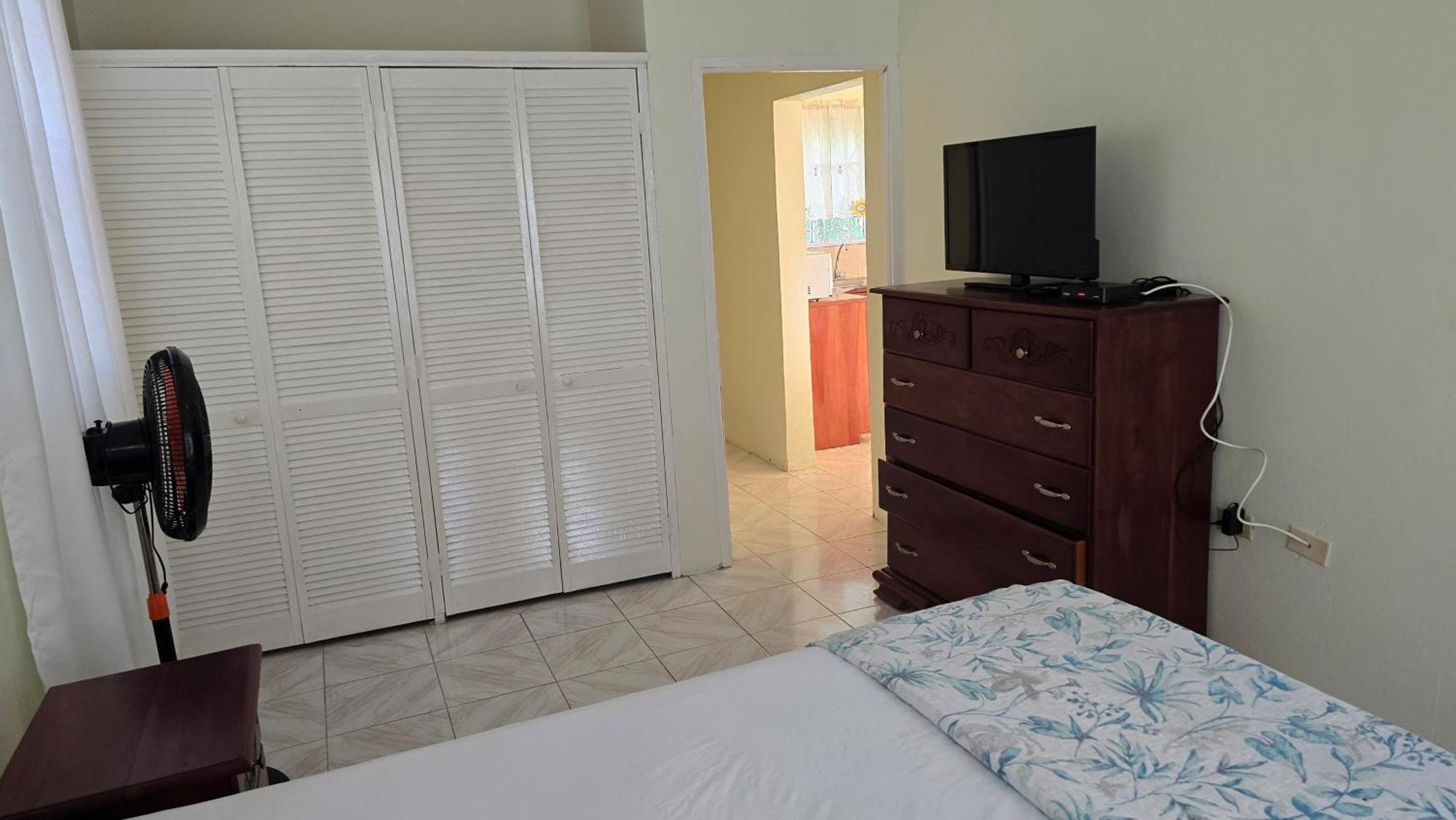 Wizzy Apartment White River Ocho Rios Exterior photo