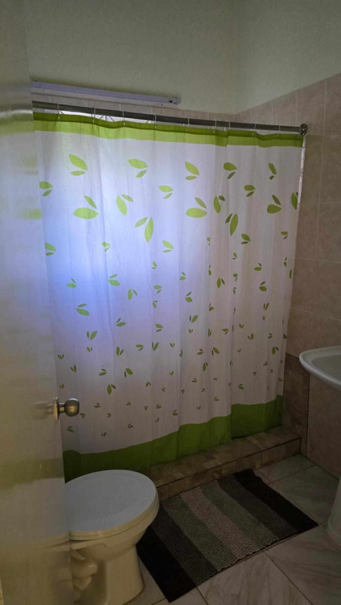 Wizzy Apartment White River Ocho Rios Room photo
