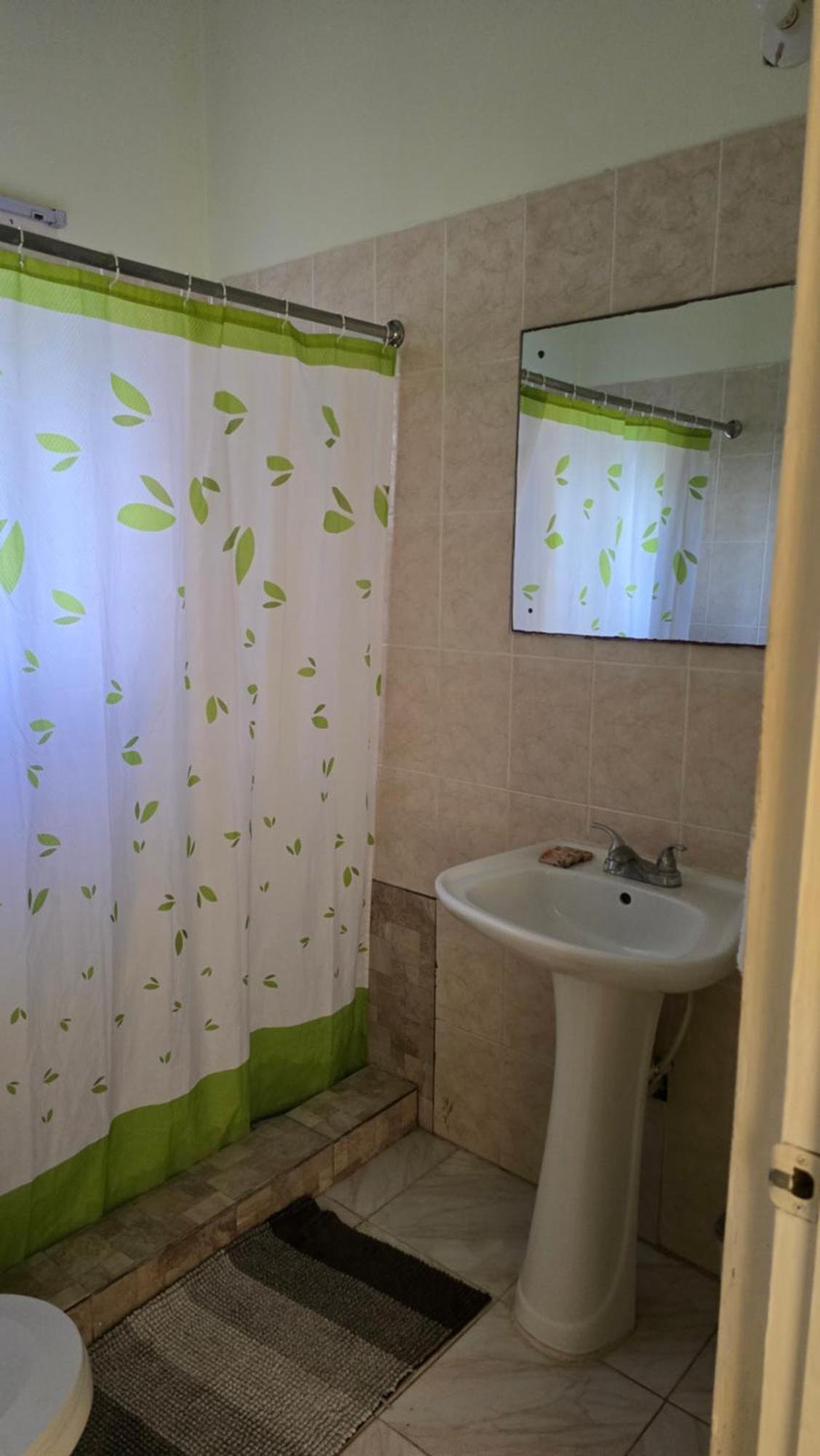 Wizzy Apartment White River Ocho Rios Room photo